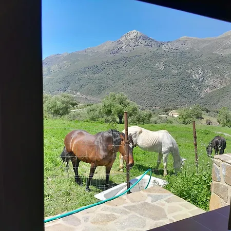 El Higueron Chalet Jimera de Libar